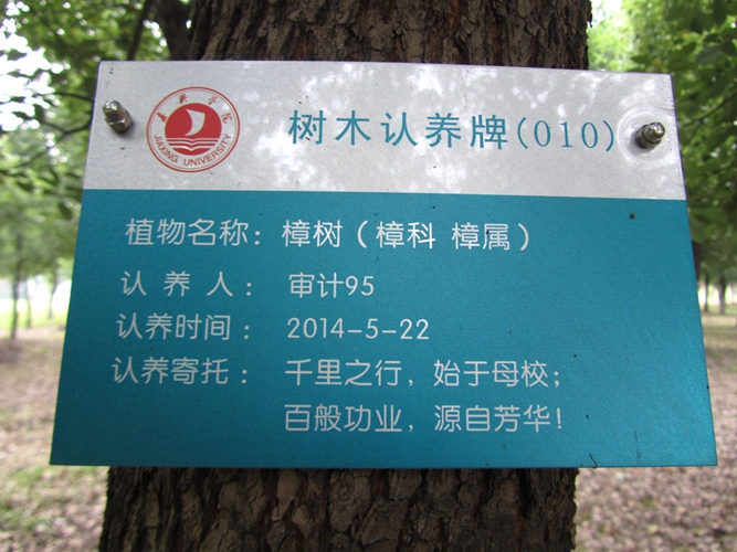 审计95捐赠人民币2000.00元(校园树木认养)