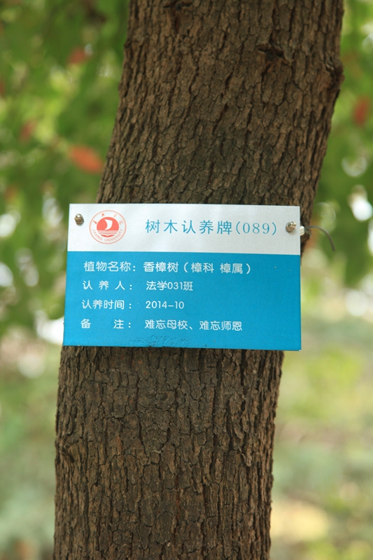法学031班捐赠人民币200000元校园树木认养
